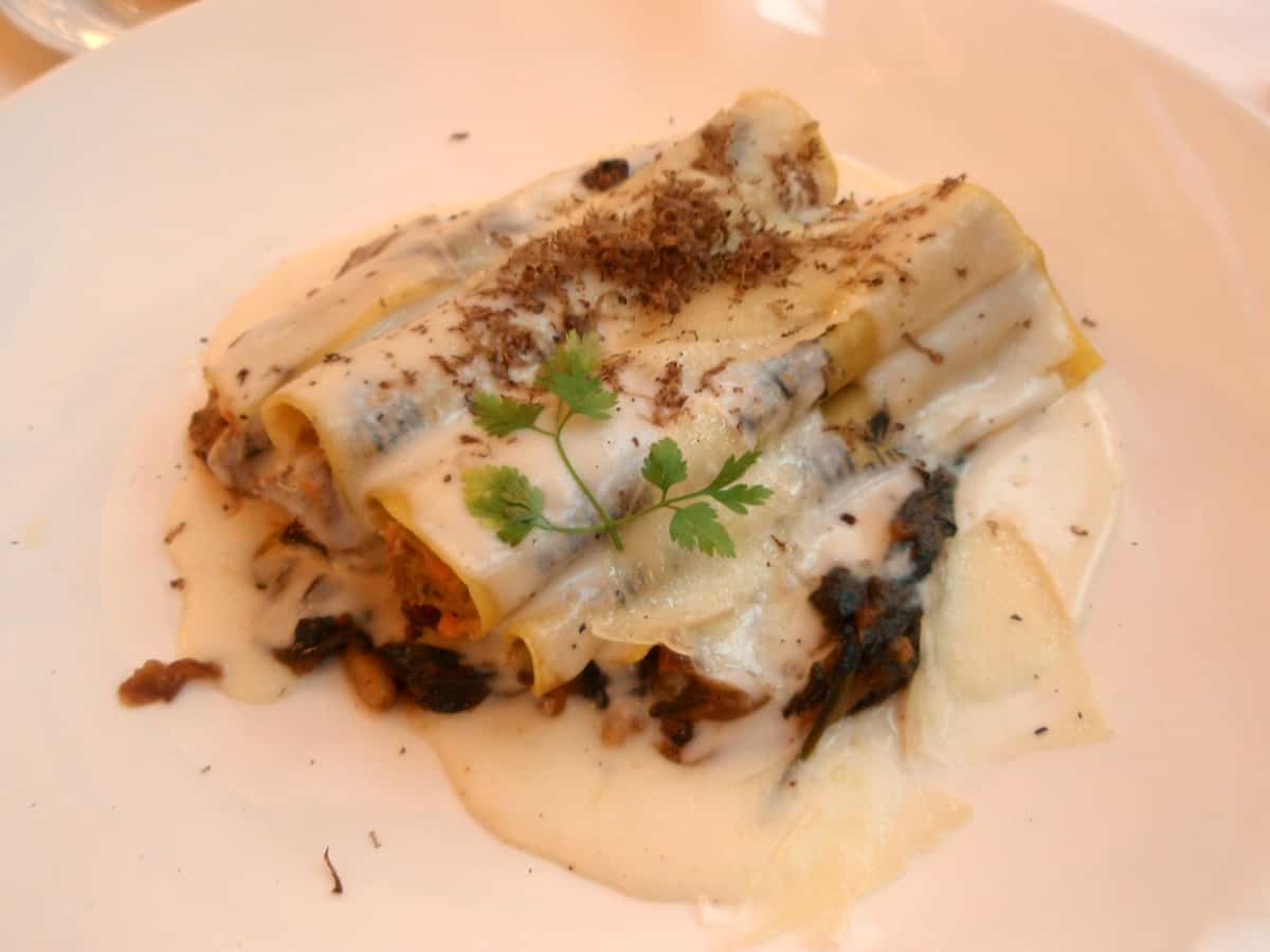 Stuffed cannelloni on a white plate covered in white sauce and garnished with herbs.