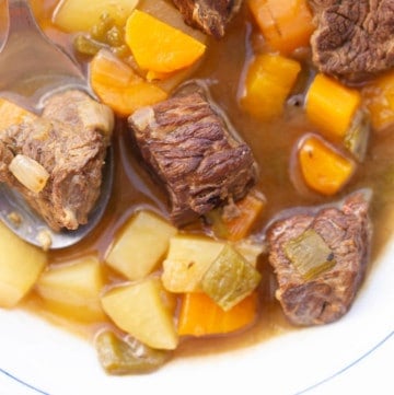 Close up of a bowl of Spanish beef stew