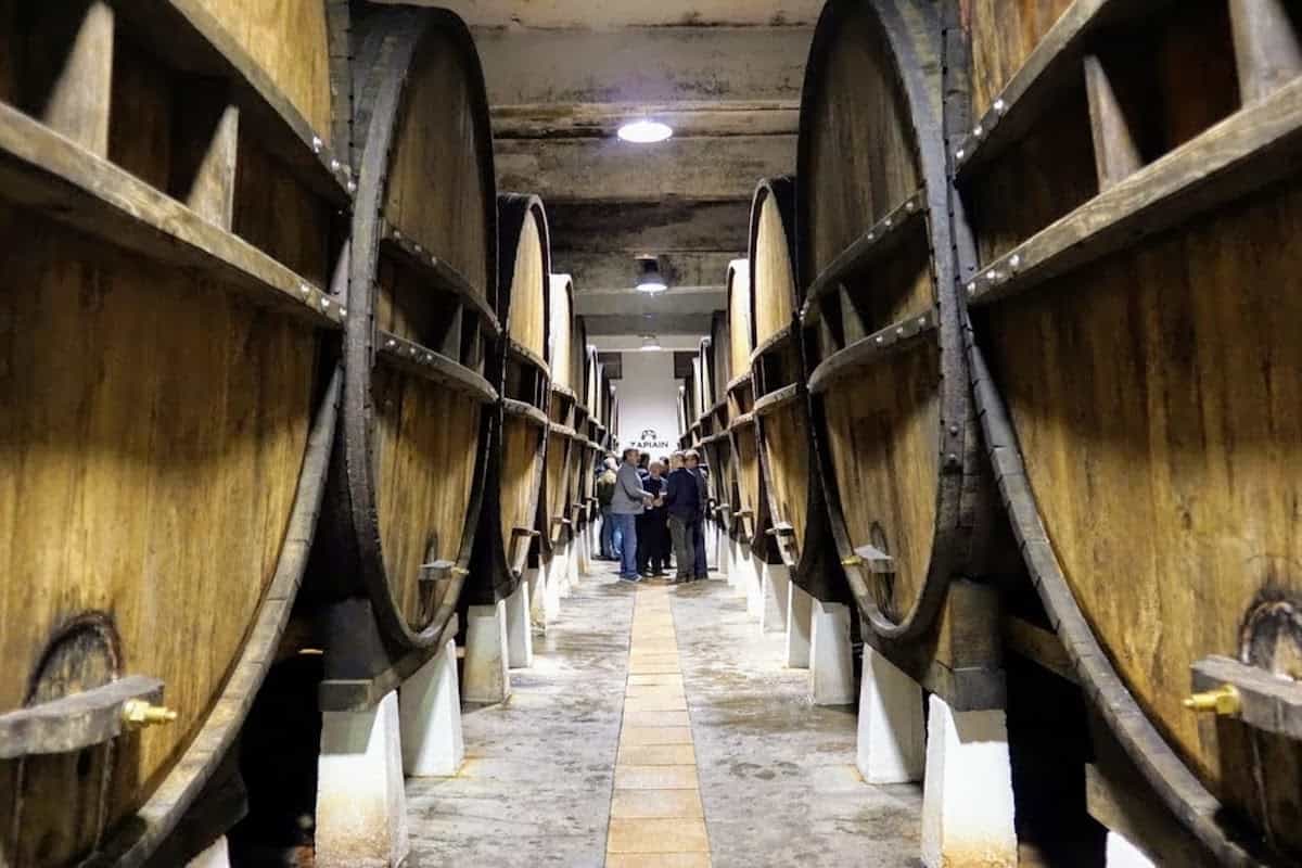 Rows of enormous wooden cider barrels at a cider house in the Basque Country.