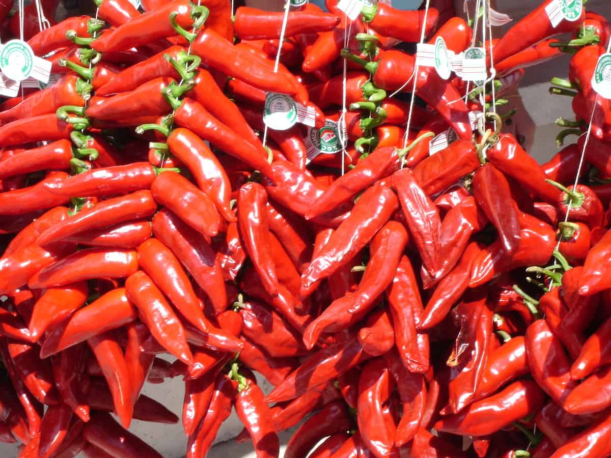 Close-up of red peppers displayed for sale at a market.