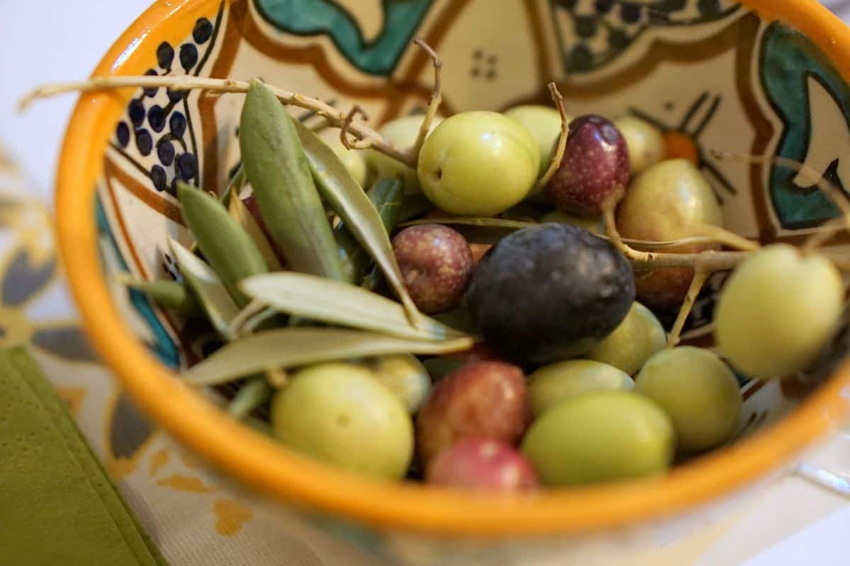 Ceramic bowl filled with green and purple olives at different stages of ripeness.