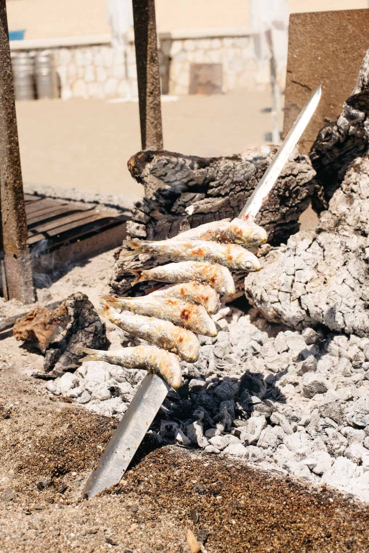 Skewer of sardines grilling over coals.