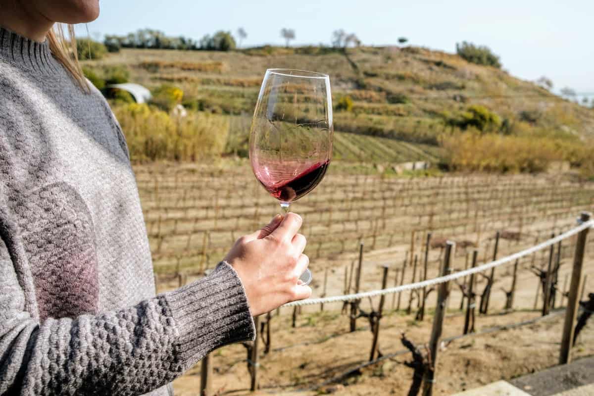 Close up of a person holding a glass of red wine with a vineyard in the background