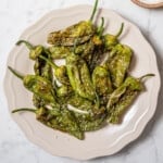 white plate of cooked pimientos de Padrón.