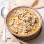 bowl of rice and mushrooms.